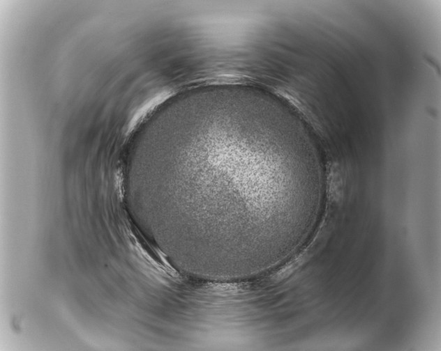 X0000102511402200808151535