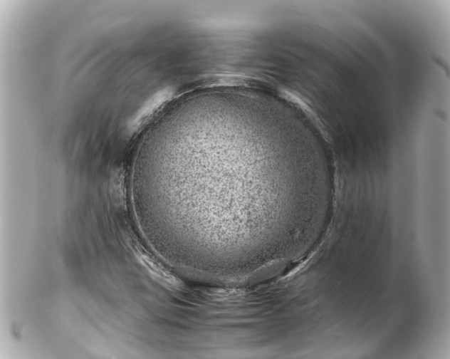 X0000102511403200808151535