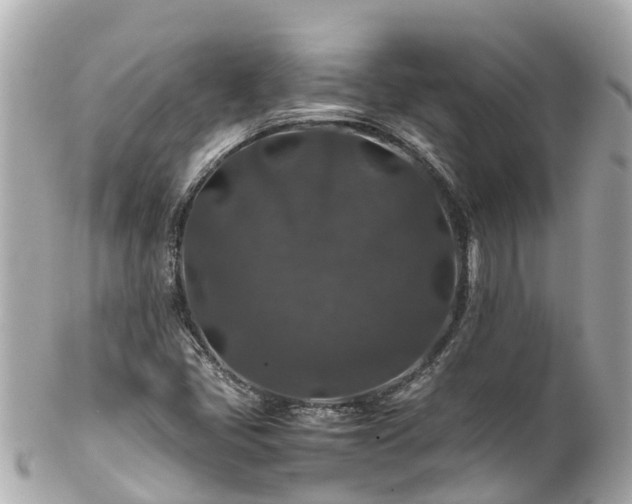 X0000102511405200808151535