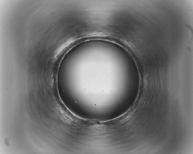 X0000102511406200808151535