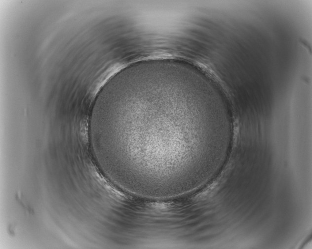 X0000102511409200808151535