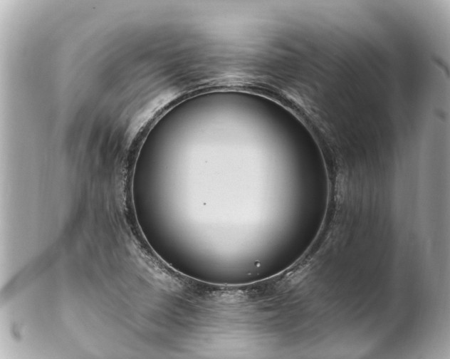 X0000102511410200808151535