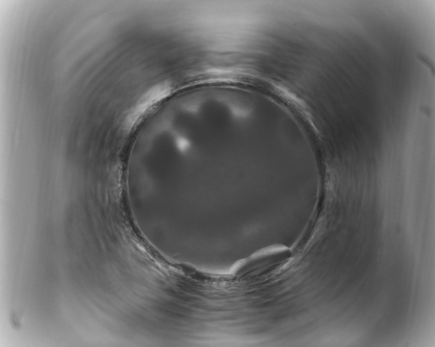 X0000102511411200808151535