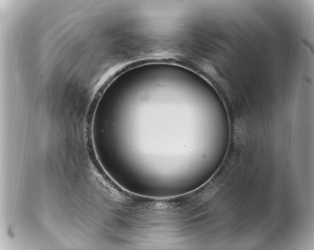 X0000102511412200808151535