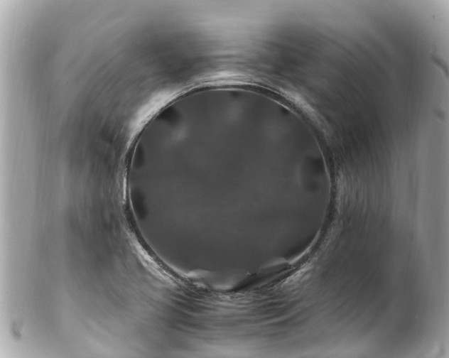 X0000102511413200808151535