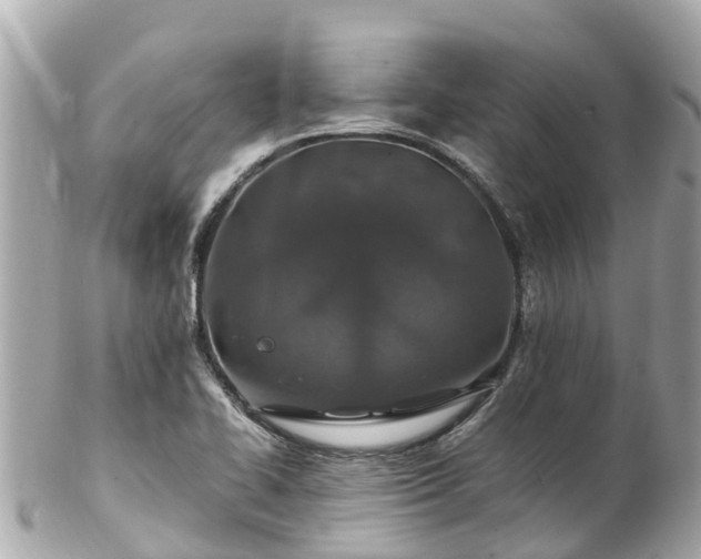 X0000102511414200808151535