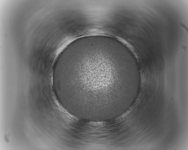X0000102511415200808151535