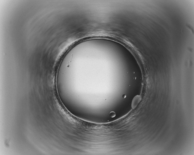 X0000102511416200808151535