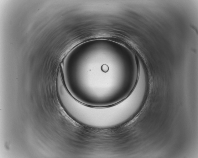 X0000102511417200808151535