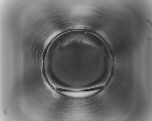 X0000102511418200808151535