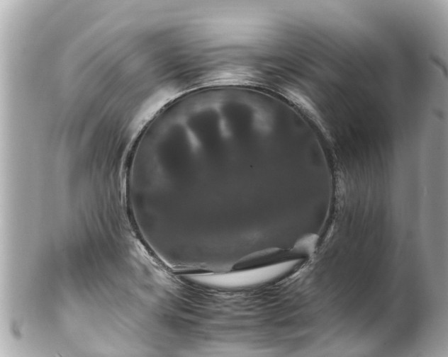 X0000102511419200808151535