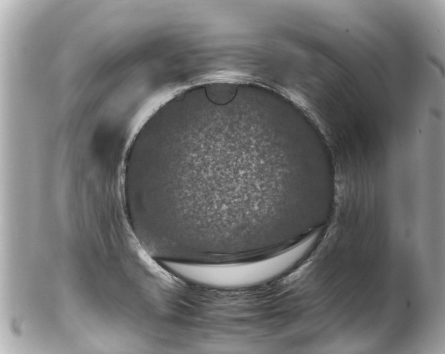 X0000102511421200808151535