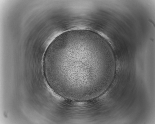 X0000102511423200808151535