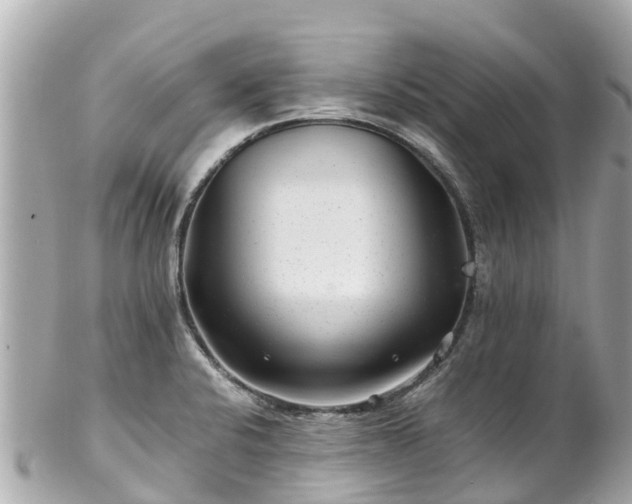 X0000102511424200808151535