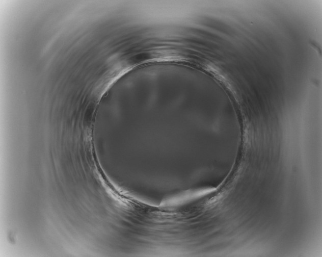 X0000102511425200808151535
