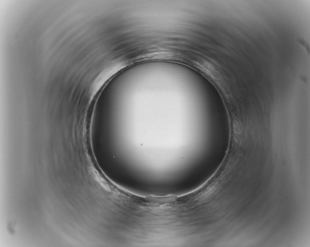 X0000102511426200808151535
