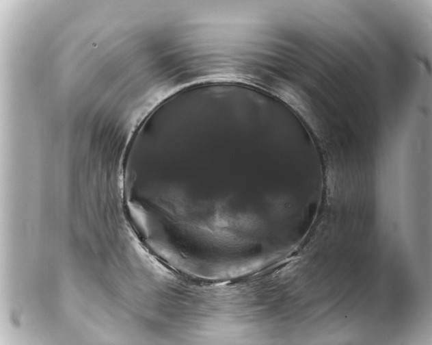 X0000102511428200808151535
