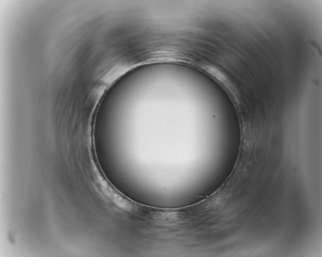 X0000102511431200808151535