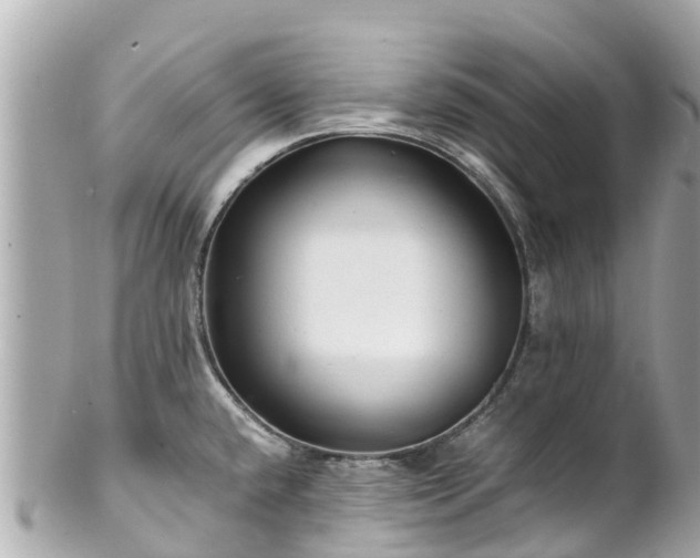 X0000102511432200808151535