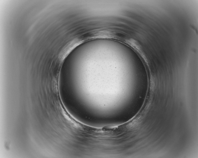 X0000102511433200808151535