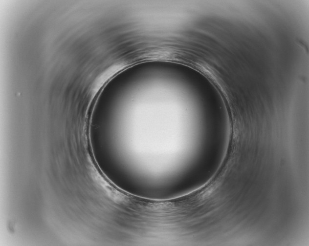 X0000102511434200808151535