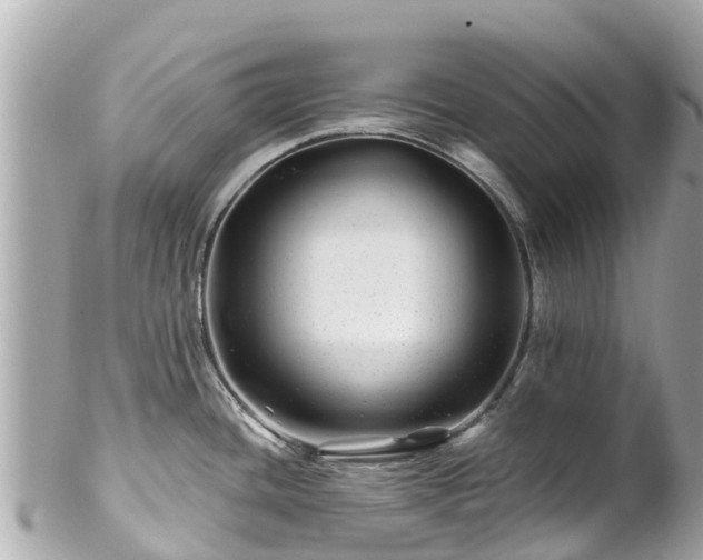 X0000102511436200808151535
