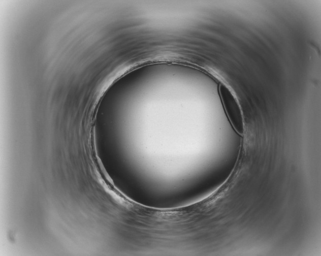 X0000102511437200808151535