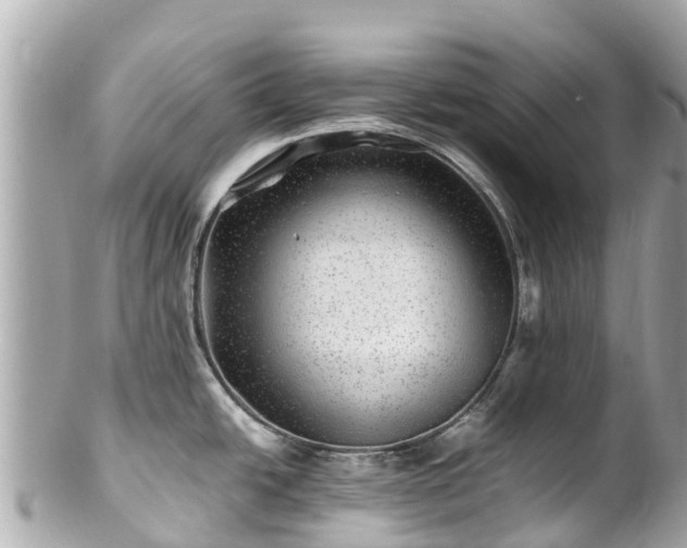 X0000102511438200808151535