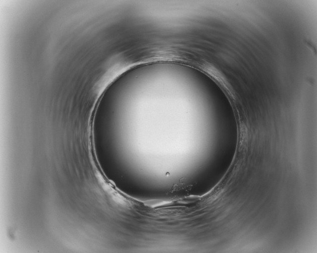 X0000102511439200808151535