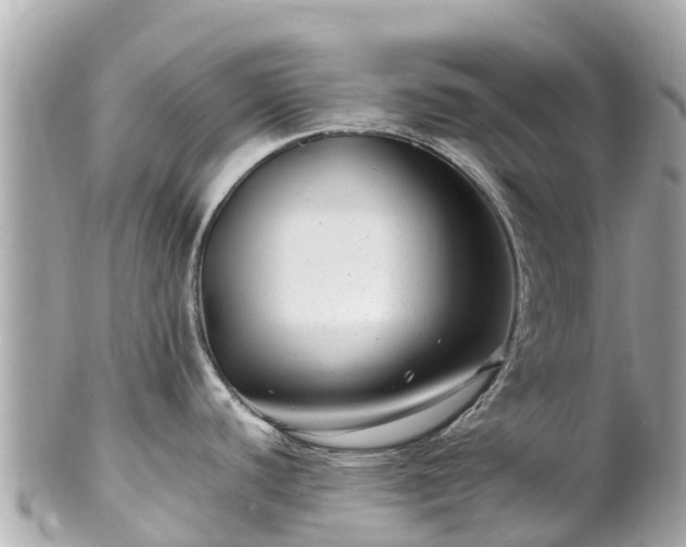 X0000102511440200808151535