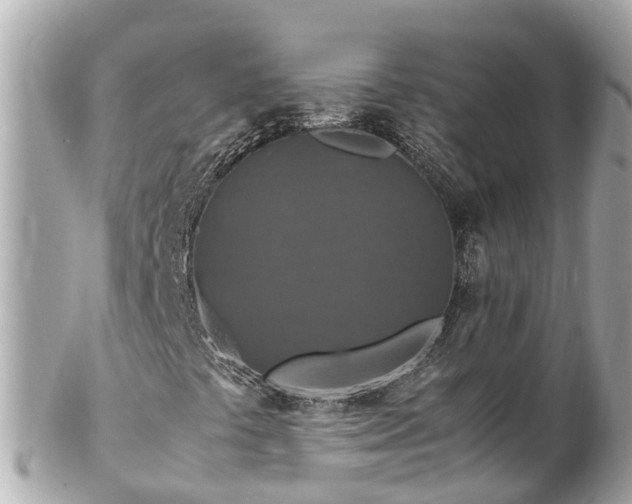 X0000102511441200808151534