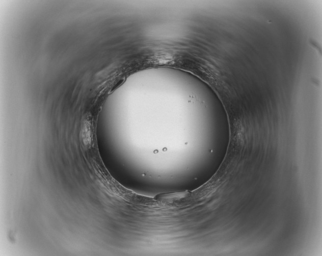 X0000102511442200808151534