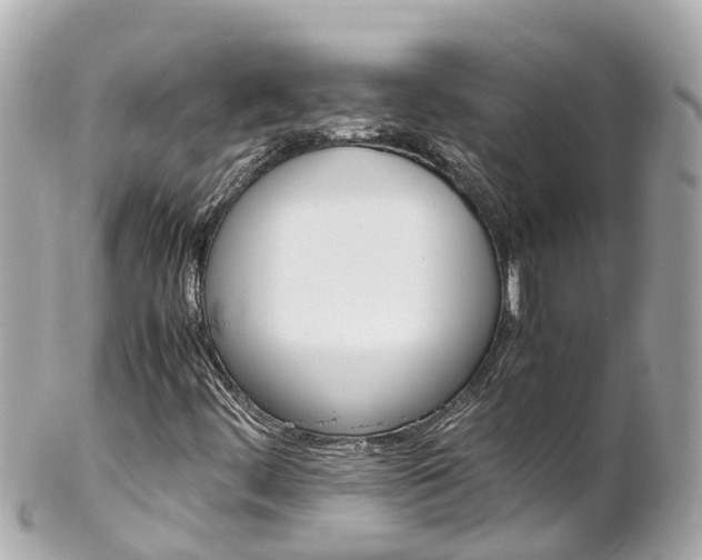 X0000102511444200808151534