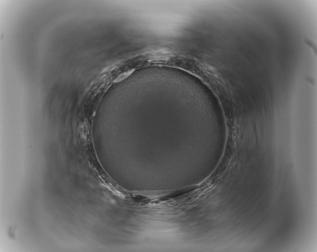 X0000102511445200808151534