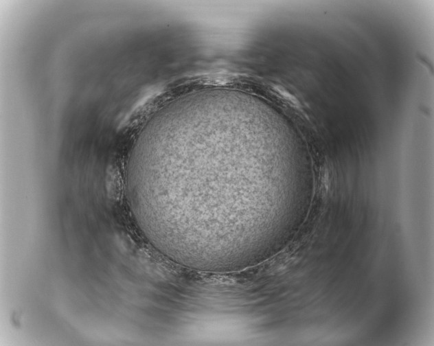 X0000102511446200808151534