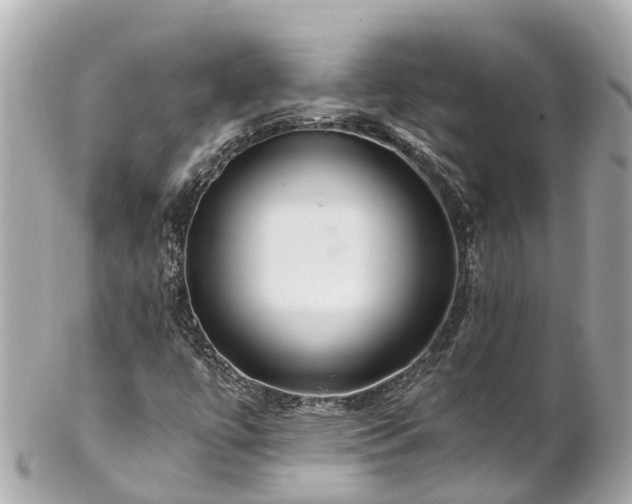 X0000102511447200808151534