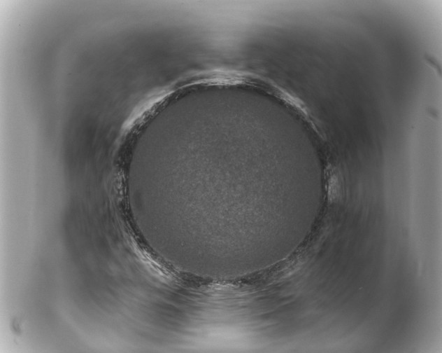 X0000102511448200808151534