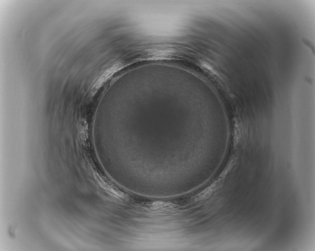 X0000102511449200808151534