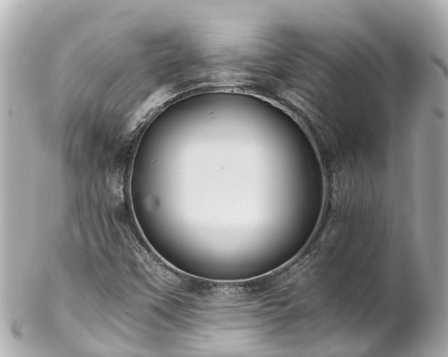 X0000102511451200808151534