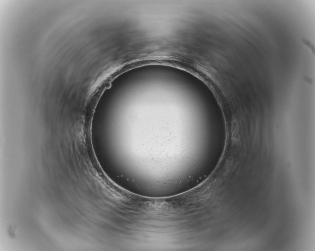 X0000102511452200808151534