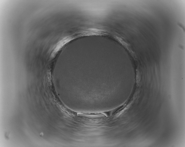 X0000102511453200808151534