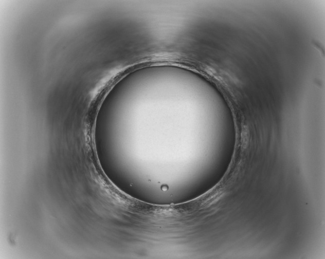 X0000102511454200808151534