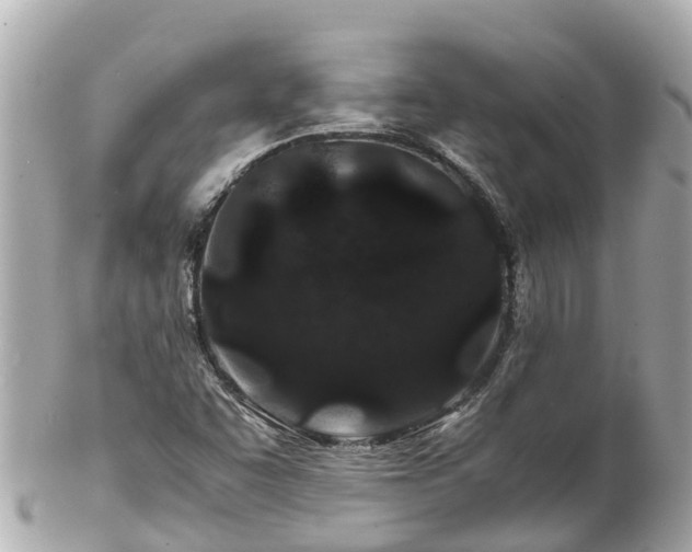 X0000102511455200808151534