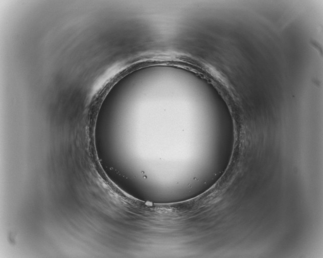 X0000102511456200808151534