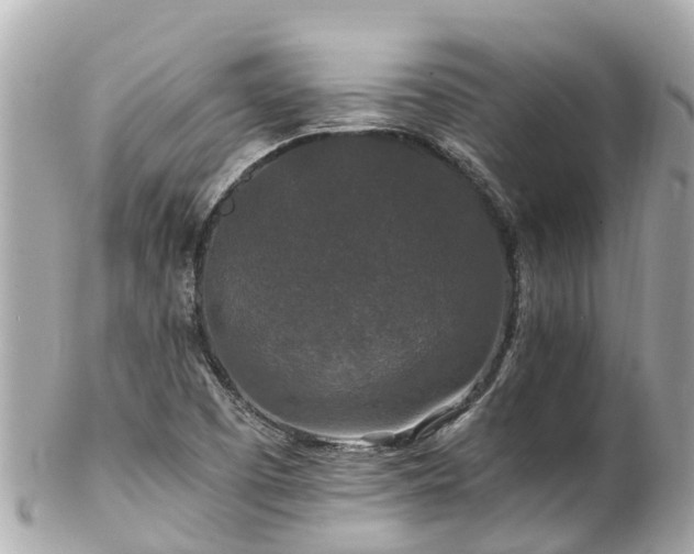 X0000102511457200808151534