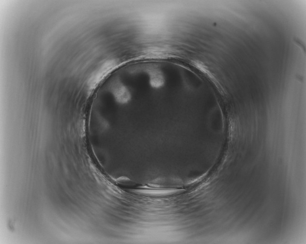 X0000102511459200808151534