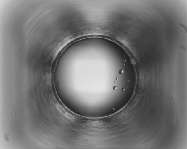 X0000102511460200808151534