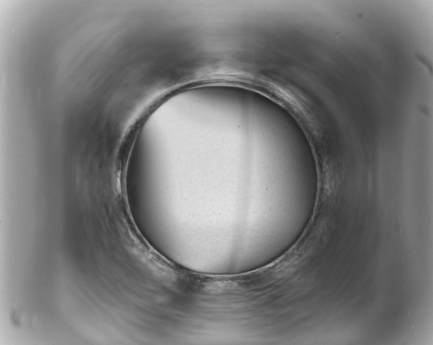 X0000102511462200808151534