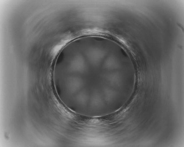 X0000102511463200808151534