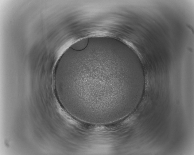 X0000102511467200808151534